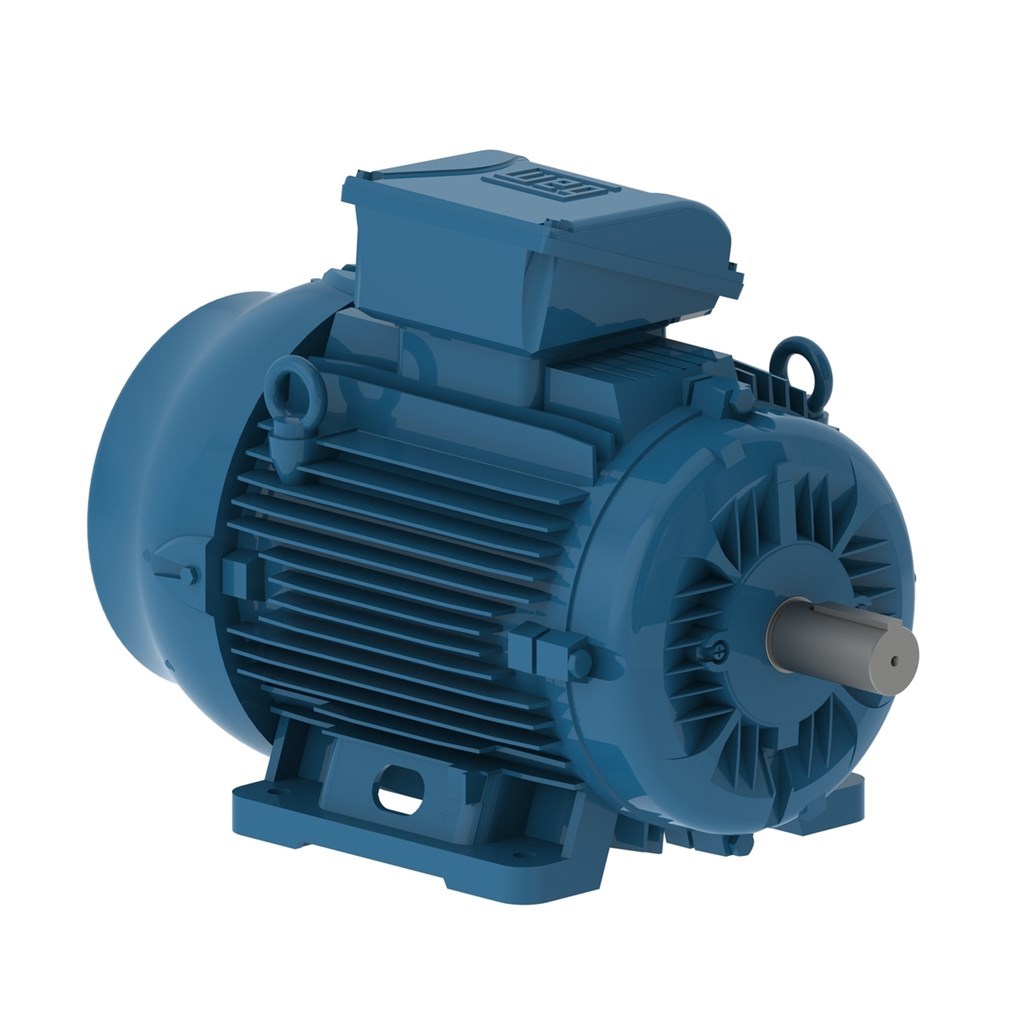 W22 IE2 GY 180M-2 22kW 2p B3T WEG draaistroommotor voet, GY 4/6