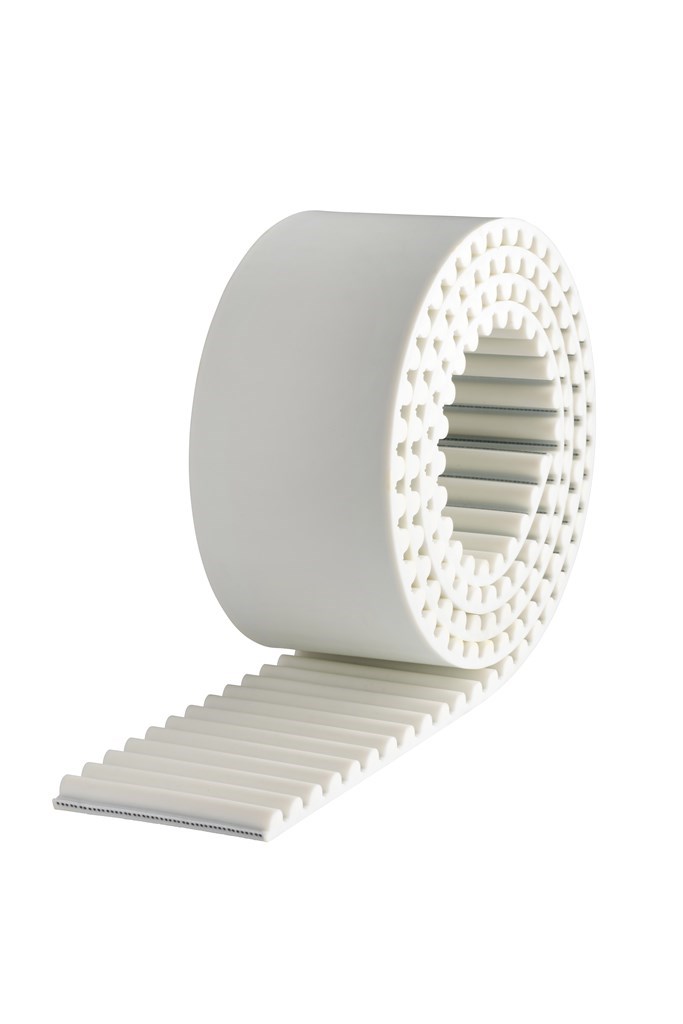 8M-50 HP PAZ Conti® Synchrodrive white Tandriem HTD met staaldraad
