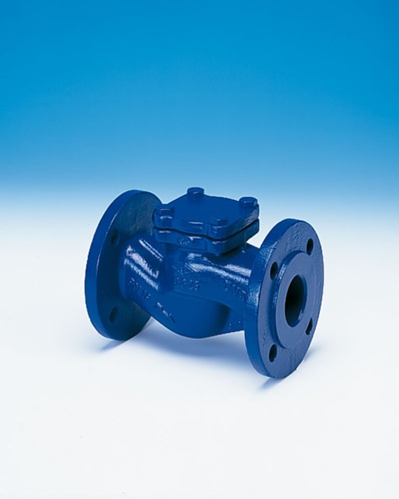 Premium 10.003 DN20 PN6 ARI Terugslagklep gietijzer 300°C