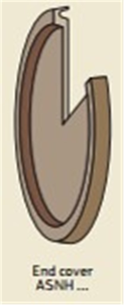 ASNH 518-615 SKF Einddeksel
