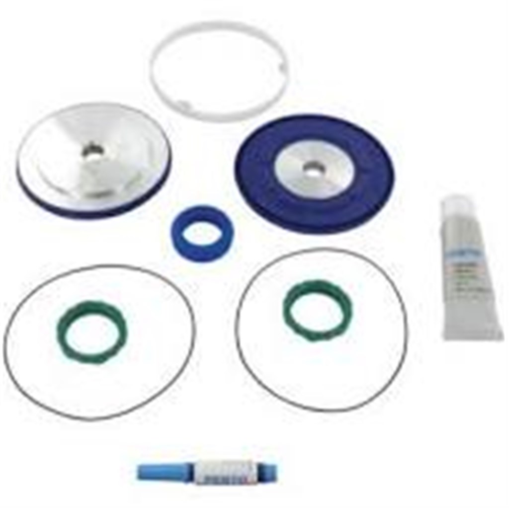 DSBC/G-100- FESTO 753093 Revisieset